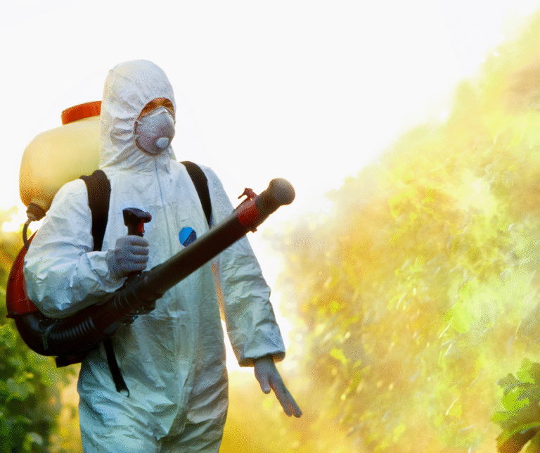 شركة مكافحة الحشرات في أبوظبي